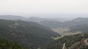 Dieses Bild zeigt eine Webcam-Aufnahme vom Achertal, aufgenommen am Freitag, den 14.11.2025 um 11:00 Uhr. Die Temperatur betrug 16.1°C.