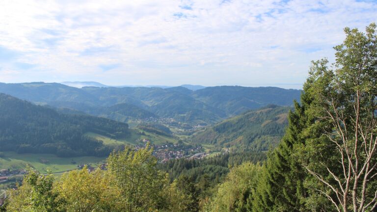 Dieses Bild zeigt eine Webcam-Aufnahme vom Achertal, aufgenommen am Freitag, den 16.10.2026 um 11:40 Uhr. Die Temperatur betrug 19°C.