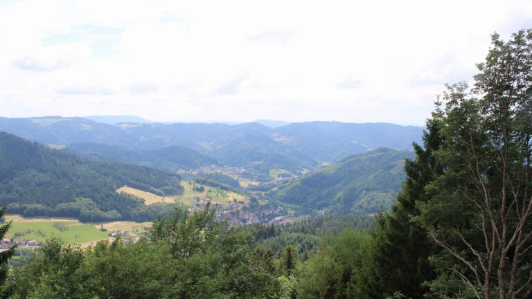 Dieses Bild zeigt eine Webcam-Aufnahme vom Achertal, aufgenommen am Montag, den 29.06.2026 um 14:40 Uhr. Die Temperatur betrug 25.5°C.