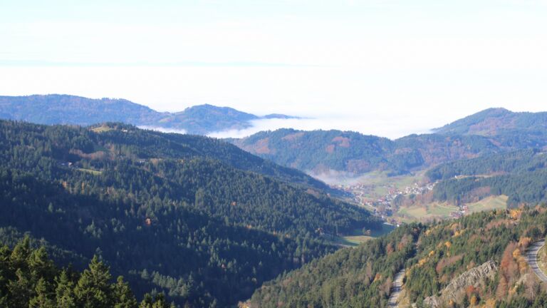 Dieses Bild zeigt eine Webcam-Aufnahme vom Achertal, aufgenommen am Freitag, den 07.11.2025 um 11:20 Uhr. Die Temperatur betrug 11.5°C.