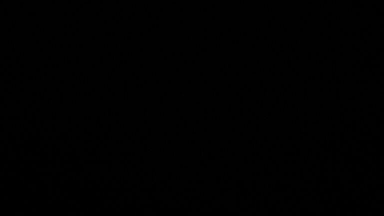 Dieses Bild zeigt eine Webcam-Aufnahme vom Achertal, aufgenommen am Mittwoch, den 11.03.2026 um 22:00 Uhr. Die Temperatur betrug 3.7°C.