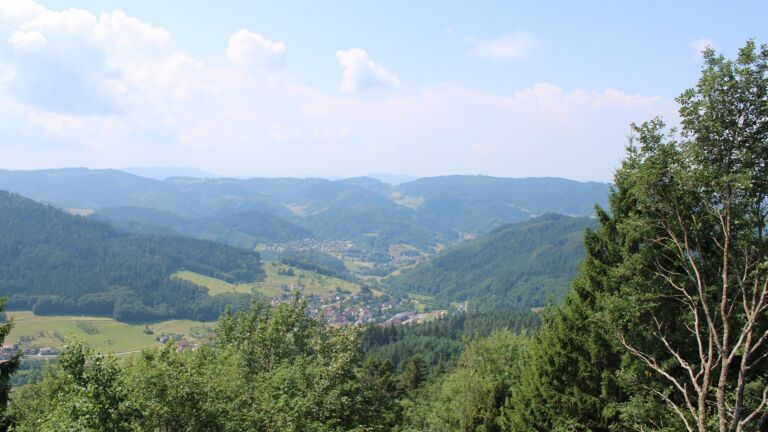 Dieses Bild zeigt eine Webcam-Aufnahme vom Achertal, aufgenommen am Samstag, den 18.07.2026 um 12:20 Uhr. Die Temperatur betrug 23°C.