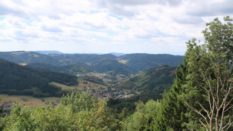 Dieses Bild zeigt eine Webcam-Aufnahme vom Achertal, aufgenommen am Mittwoch, den 19.08.2026 um 12:50 Uhr. Die Temperatur betrug 24.5°C.
