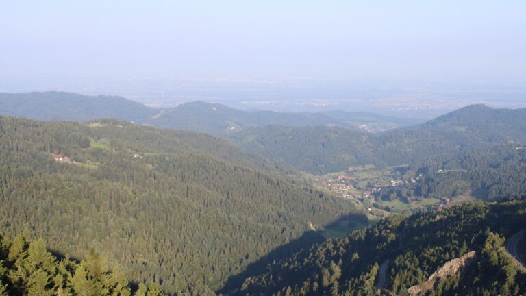 Dieses Bild zeigt eine Webcam-Aufnahme vom Achertal, aufgenommen am Montag, den 11.08.2025 um 07:50 Uhr. Die Temperatur betrug 17°C.