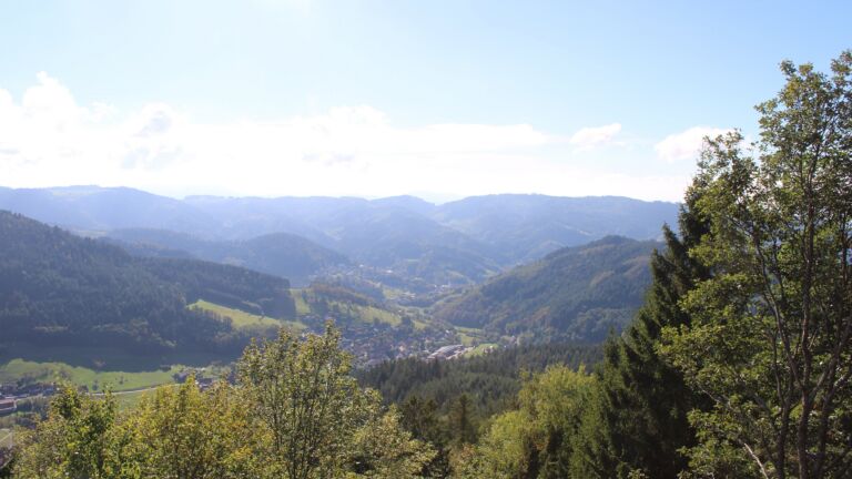 Dieses Bild zeigt eine Webcam-Aufnahme vom Achertal, aufgenommen am Mittwoch, den 14.10.2026 um 14:50 Uhr. Die Temperatur betrug 18.4°C.