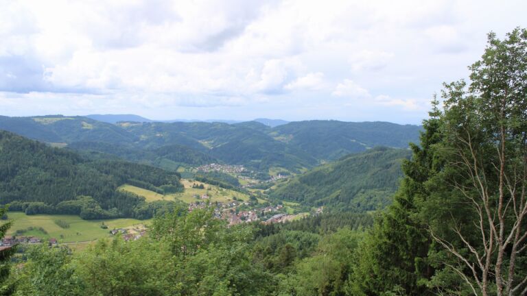 Dieses Bild zeigt eine Webcam-Aufnahme vom Achertal, aufgenommen am Mittwoch, den 10.06.2026 um 11:30 Uhr. Die Temperatur betrug 15.2°C.
