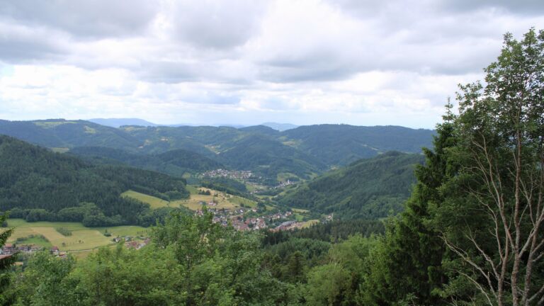 Dieses Bild zeigt eine Webcam-Aufnahme vom Achertal, aufgenommen am Freitag, den 05.06.2026 um 11:50 Uhr. Die Temperatur betrug 15.4°C.