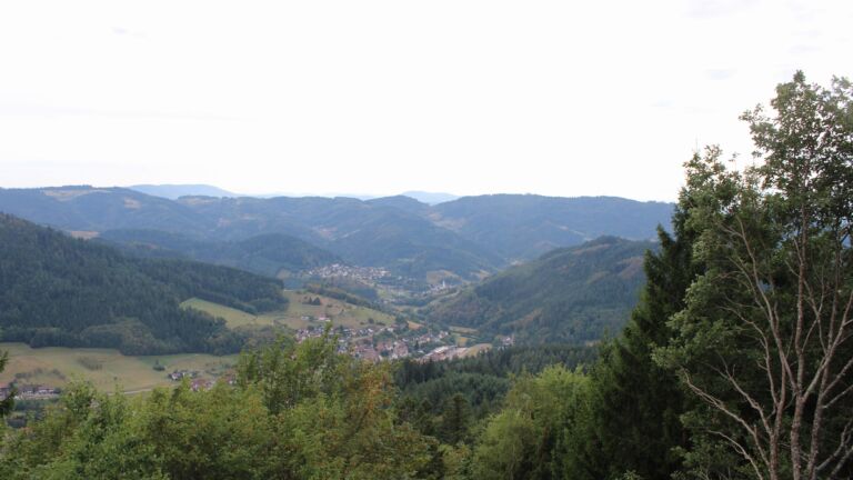 Dieses Bild zeigt eine Webcam-Aufnahme vom Achertal, aufgenommen am Mittwoch, den 26.08.2026 um 17:10 Uhr. Die Temperatur betrug 26.5°C.
