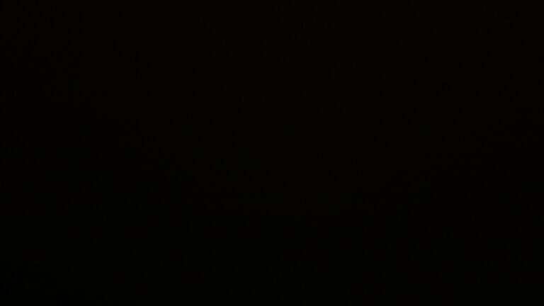 Dieses Bild zeigt eine Webcam-Aufnahme vom Achertal, aufgenommen am Montag, den 26.05.2025 um 00:00 Uhr. Die Temperatur betrug 8.8°C.