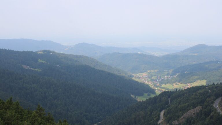 Dieses Bild zeigt eine Webcam-Aufnahme vom Achertal, aufgenommen am Samstag, den 16.08.2025 um 11:30 Uhr. Die Temperatur betrug 21°C.