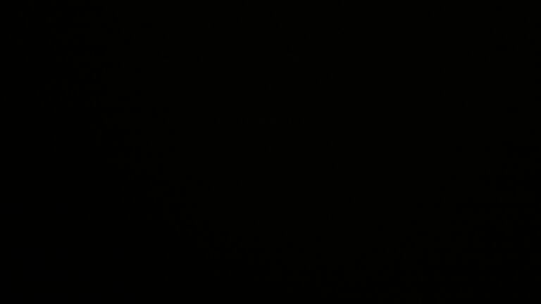 Dieses Bild zeigt eine Webcam-Aufnahme vom Achertal, aufgenommen am Mittwoch, den 24.09.2025 um 22:30 Uhr. Die Temperatur betrug 4.8°C.
