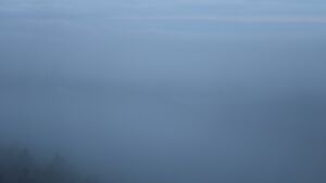 Dieses Bild zeigt eine Webcam-Aufnahme vom Achertal, aufgenommen am Sonntag, den 01.02.2026 um 08:00 Uhr. Die Temperatur betrug 2.3°C.