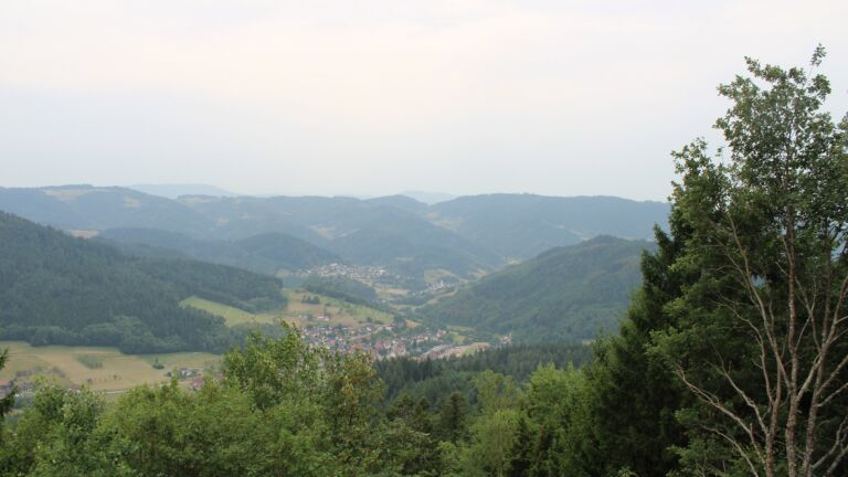 Dieses Bild zeigt eine Webcam-Aufnahme vom Achertal, aufgenommen am Donnerstag, den 30.07.2026 um 16:50 Uhr. Die Temperatur betrug 28.4°C.
