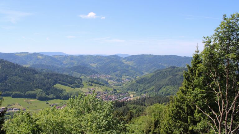 Dieses Bild zeigt eine Webcam-Aufnahme vom Achertal, aufgenommen am Freitag, den 22.05.2026 um 12:30 Uhr. Die Temperatur betrug 21.9°C.