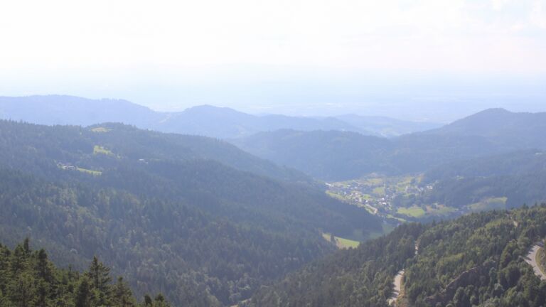 Dieses Bild zeigt eine Webcam-Aufnahme vom Achertal, aufgenommen am Dienstag, den 29.07.2025 um 17:30 Uhr. Die Temperatur betrug 15°C.