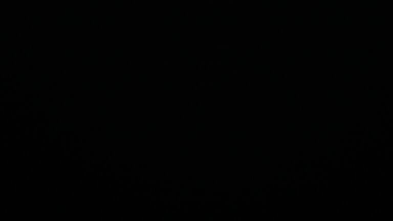 Dieses Bild zeigt eine Webcam-Aufnahme vom Achertal, aufgenommen am Sonntag, den 09.11.2025 um 21:30 Uhr. Die Temperatur betrug 4.1°C.