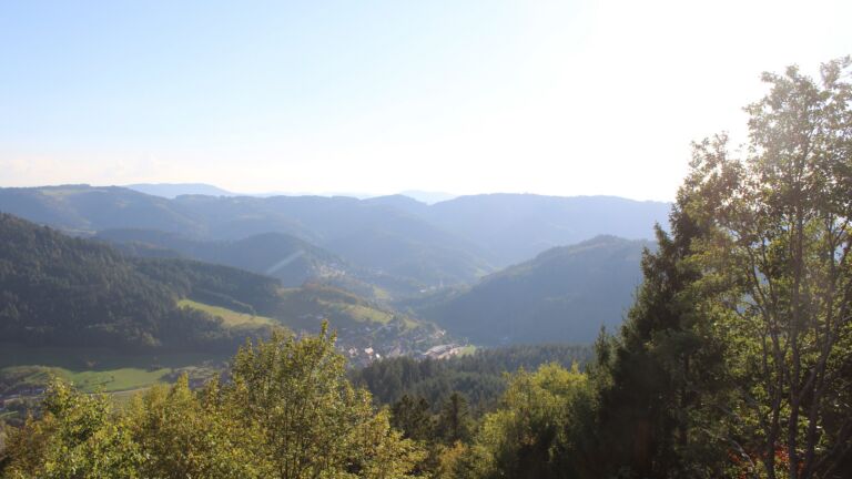 Dieses Bild zeigt eine Webcam-Aufnahme vom Achertal, aufgenommen am Montag, den 05.10.2026 um 17:20 Uhr. Die Temperatur betrug 24.9°C.