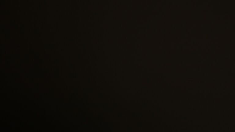 Dieses Bild zeigt eine Webcam-Aufnahme vom Achertal, aufgenommen am Montag, den 24.11.2025 um 04:30 Uhr. Die Temperatur betrug 1°C.