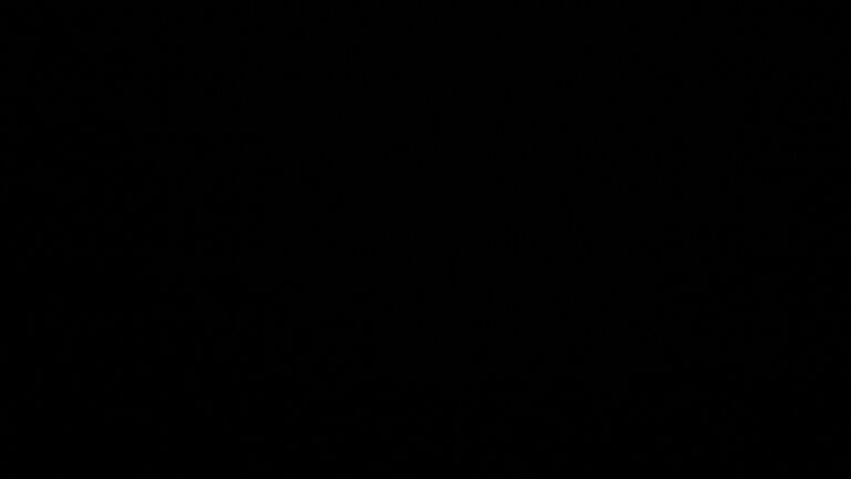 Dieses Bild zeigt eine Webcam-Aufnahme vom Achertal, aufgenommen am Donnerstag, den 12.03.2026 um 01:30 Uhr. Die Temperatur betrug 2.8°C.