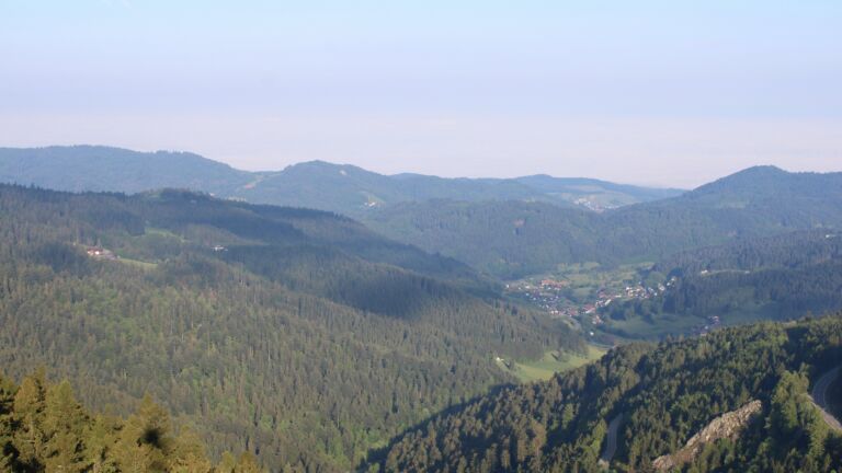 Dieses Bild zeigt eine Webcam-Aufnahme vom Achertal, aufgenommen am Freitag, den 08.05.2026 um 07:50 Uhr. Die Temperatur betrug 7.5°C.