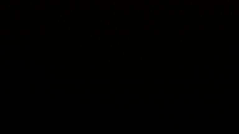 Dieses Bild zeigt eine Webcam-Aufnahme vom Achertal, aufgenommen am Donnerstag, den 25.09.2025 um 00:00 Uhr. Die Temperatur betrug 5.8°C.