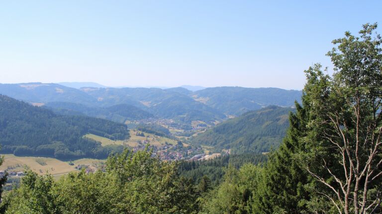 Dieses Bild zeigt eine Webcam-Aufnahme vom Achertal, aufgenommen am Dienstag, den 11.08.2026 um 12:40 Uhr. Die Temperatur betrug 28.5°C.