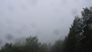 Dieses Bild zeigt eine Webcam-Aufnahme vom Achertal, aufgenommen am Donnerstag, den 08.10.2026 um 11:00 Uhr. Die Temperatur betrug 11.5°C.