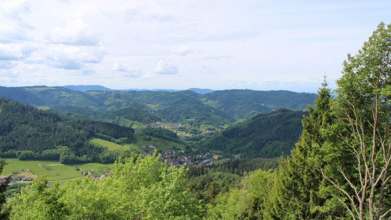 Dieses Bild zeigt eine Webcam-Aufnahme vom Achertal, aufgenommen am Sonntag, den 17.05.2026 um 11:20 Uhr. Die Temperatur betrug 11.6°C.