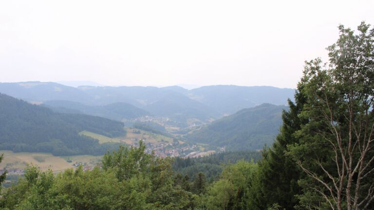 Dieses Bild zeigt eine Webcam-Aufnahme vom Achertal, aufgenommen am Freitag, den 31.07.2026 um 15:00 Uhr. Die Temperatur betrug 31.9°C.