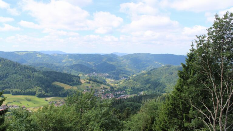 Dieses Bild zeigt eine Webcam-Aufnahme vom Achertal, aufgenommen am Montag, den 15.06.2026 um 11:00 Uhr. Die Temperatur betrug 15.7°C.