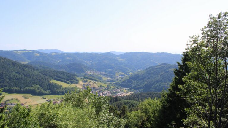 Dieses Bild zeigt eine Webcam-Aufnahme vom Achertal, aufgenommen am Freitag, den 29.05.2026 um 17:10 Uhr. Die Temperatur betrug 31°C.