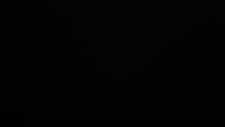 Dieses Bild zeigt eine Webcam-Aufnahme vom Achertal, aufgenommen am Montag, den 28.07.2025 um 01:00 Uhr. Die Temperatur betrug 10.5°C.