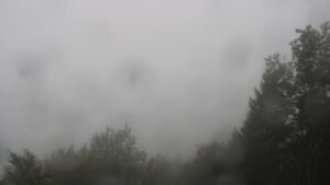 Dieses Bild zeigt eine Webcam-Aufnahme vom Achertal, aufgenommen am Donnerstag, den 08.10.2026 um 10:30 Uhr. Die Temperatur betrug 11.8°C.