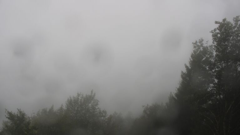 Dieses Bild zeigt eine Webcam-Aufnahme vom Achertal, aufgenommen am Donnerstag, den 08.10.2026 um 10:30 Uhr. Die Temperatur betrug 11.8°C.