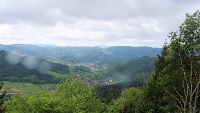 Dieses Bild zeigt eine Webcam-Aufnahme vom Achertal, aufgenommen am Samstag, den 16.05.2026 um 11:50 Uhr. Die Temperatur betrug 6.7°C.