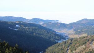 Dieses Bild zeigt eine Webcam-Aufnahme vom Achertal, aufgenommen am Mittwoch, den 21.01.2026 um 11:00 Uhr. Die Temperatur betrug 9.5°C.