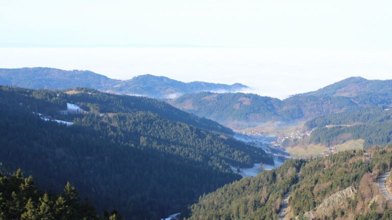 Dieses Bild zeigt eine Webcam-Aufnahme vom Achertal, aufgenommen am Mittwoch, den 21.01.2026 um 11:00 Uhr. Die Temperatur betrug 9.5°C.