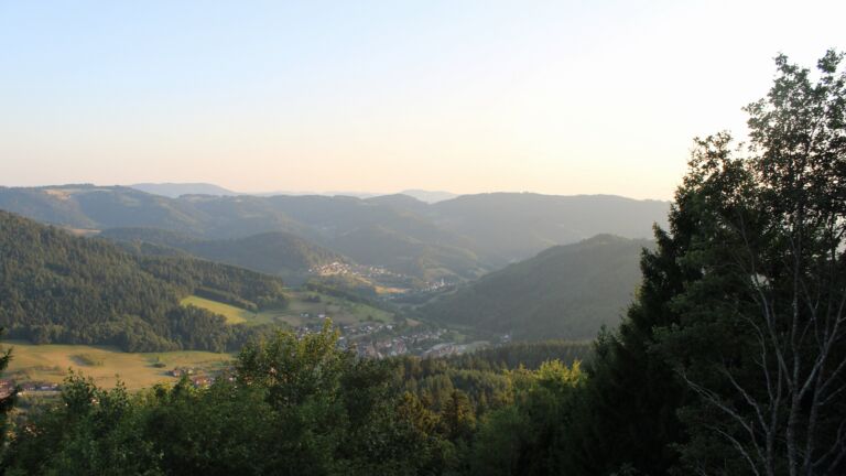 Dieses Bild zeigt eine Webcam-Aufnahme vom Achertal, aufgenommen am Mittwoch, den 29.07.2026 um 20:20 Uhr. Die Temperatur betrug 30.7°C.