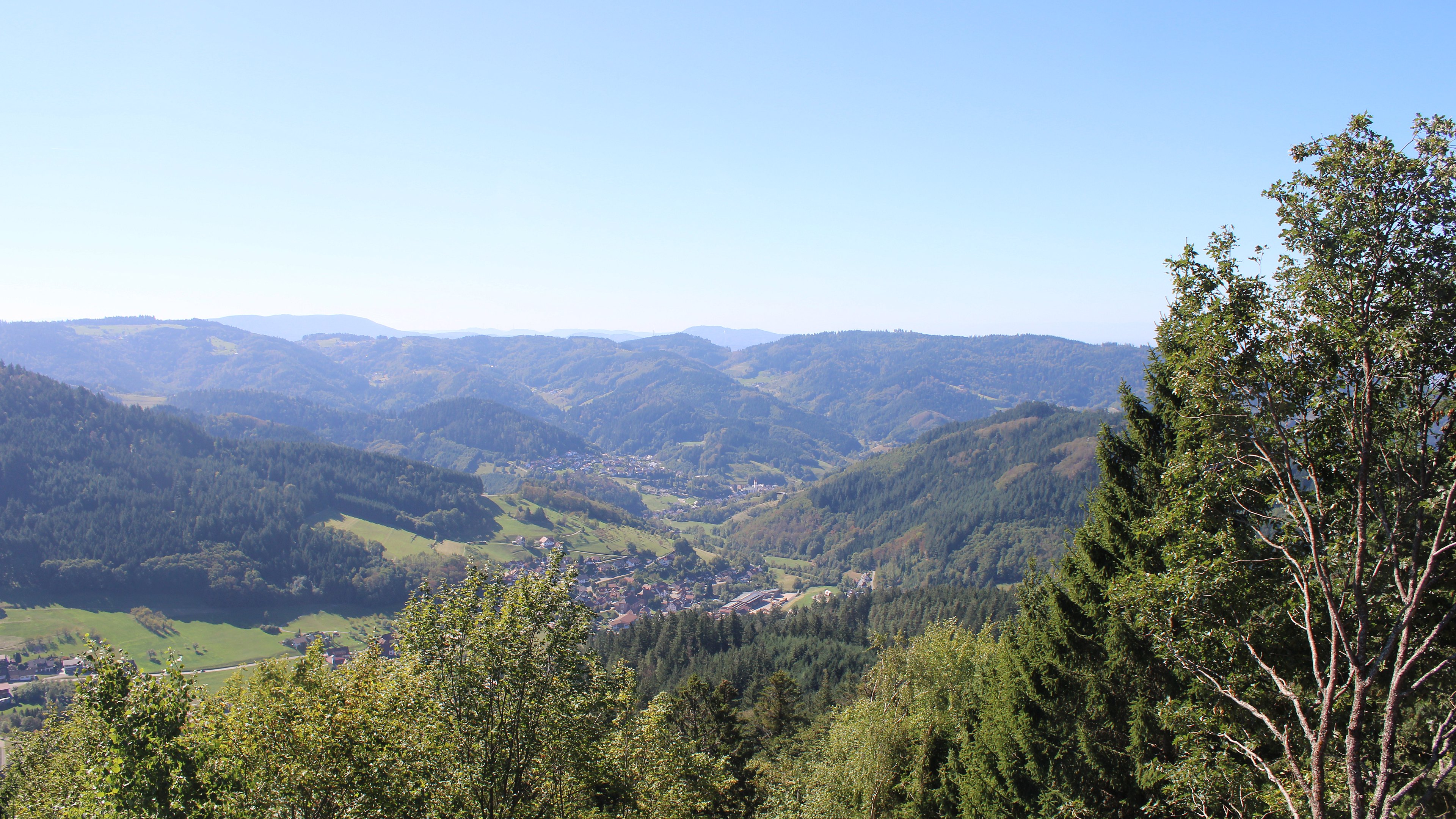 Zum Fotoarchiv vom Mittwoch, 23. September 2026
