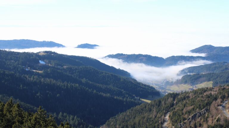 Dieses Bild zeigt eine Webcam-Aufnahme vom Achertal, aufgenommen am Sonntag, den 08.02.2026 um 14:20 Uhr. Die Temperatur betrug 4.8°C.