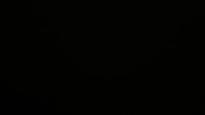 Dieses Bild zeigt eine Webcam-Aufnahme vom Achertal, aufgenommen am Dienstag, den 25.11.2025 um 01:30 Uhr. Die Temperatur betrug 0.2°C.