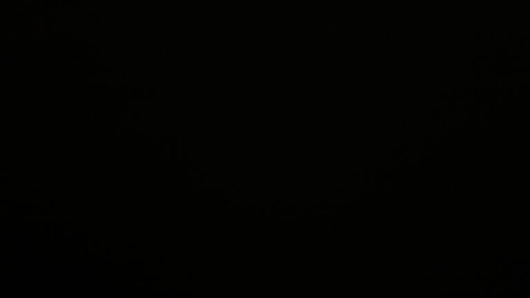 Dieses Bild zeigt eine Webcam-Aufnahme vom Achertal, aufgenommen am Dienstag, den 25.11.2025 um 01:30 Uhr. Die Temperatur betrug 0.2°C.