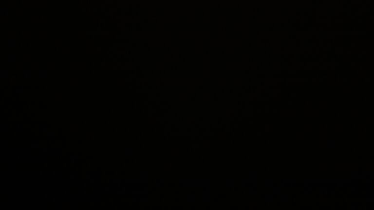 Dieses Bild zeigt eine Webcam-Aufnahme vom Achertal, aufgenommen am Sonntag, den 09.11.2025 um 18:30 Uhr. Die Temperatur betrug 4.2°C.