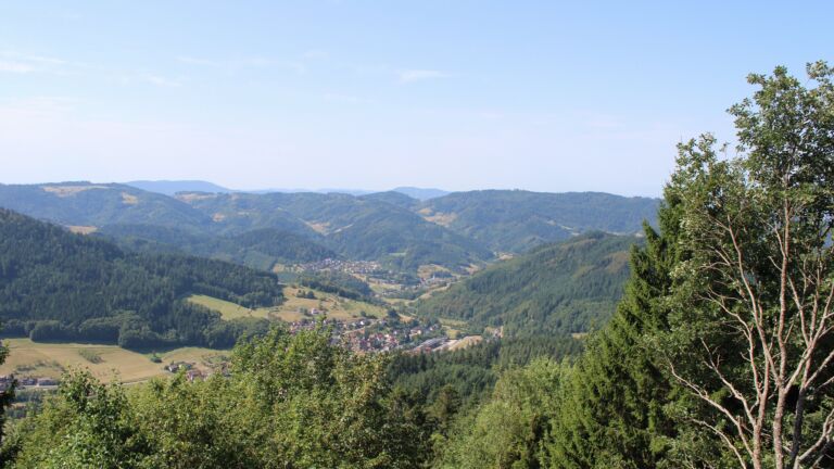 Dieses Bild zeigt eine Webcam-Aufnahme vom Achertal, aufgenommen am Montag, den 10.08.2026 um 11:30 Uhr. Die Temperatur betrug 28.6°C.