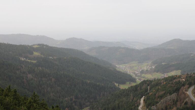 Dieses Bild zeigt eine Webcam-Aufnahme vom Achertal, aufgenommen am Freitag, den 14.11.2025 um 14:00 Uhr. Die Temperatur betrug 16.4°C.