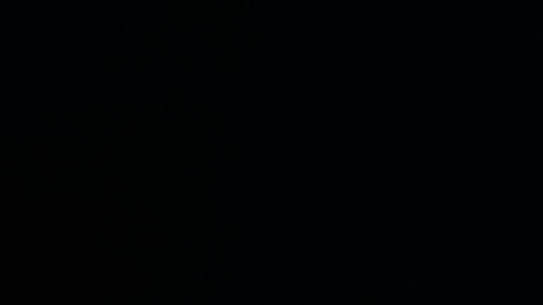 Dieses Bild zeigt eine Webcam-Aufnahme vom Achertal, aufgenommen am Donnerstag, den 20.11.2025 um 06:40 Uhr. Die Temperatur betrug -3.4°C.