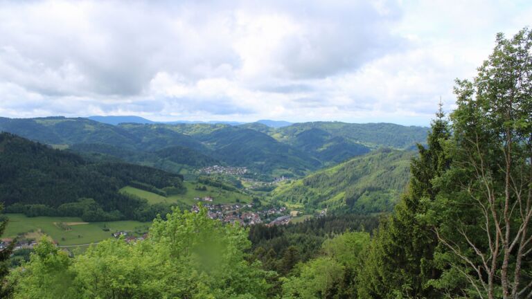 Dieses Bild zeigt eine Webcam-Aufnahme vom Achertal, aufgenommen am Montag, den 18.05.2026 um 11:30 Uhr. Die Temperatur betrug 10.9°C.