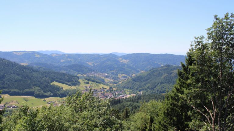 Dieses Bild zeigt eine Webcam-Aufnahme vom Achertal, aufgenommen am Freitag, den 10.07.2026 um 13:50 Uhr. Die Temperatur betrug 28.8°C.