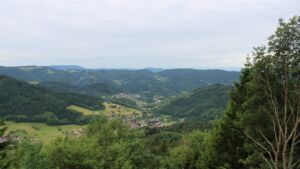 Dieses Bild zeigt eine Webcam-Aufnahme vom Achertal, aufgenommen am Mittwoch, den 10.06.2026 um 07:50 Uhr. Die Temperatur betrug 11°C.