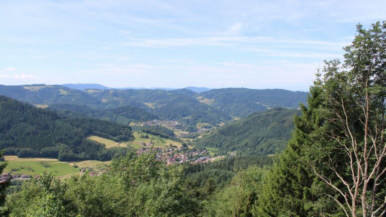 Dieses Bild zeigt eine Webcam-Aufnahme vom Achertal, aufgenommen am Freitag, den 03.07.2026 um 11:30 Uhr. Die Temperatur betrug 20.1°C.